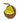 The Birdfood Warehouse Mealworm & Insect Coconut Feeder