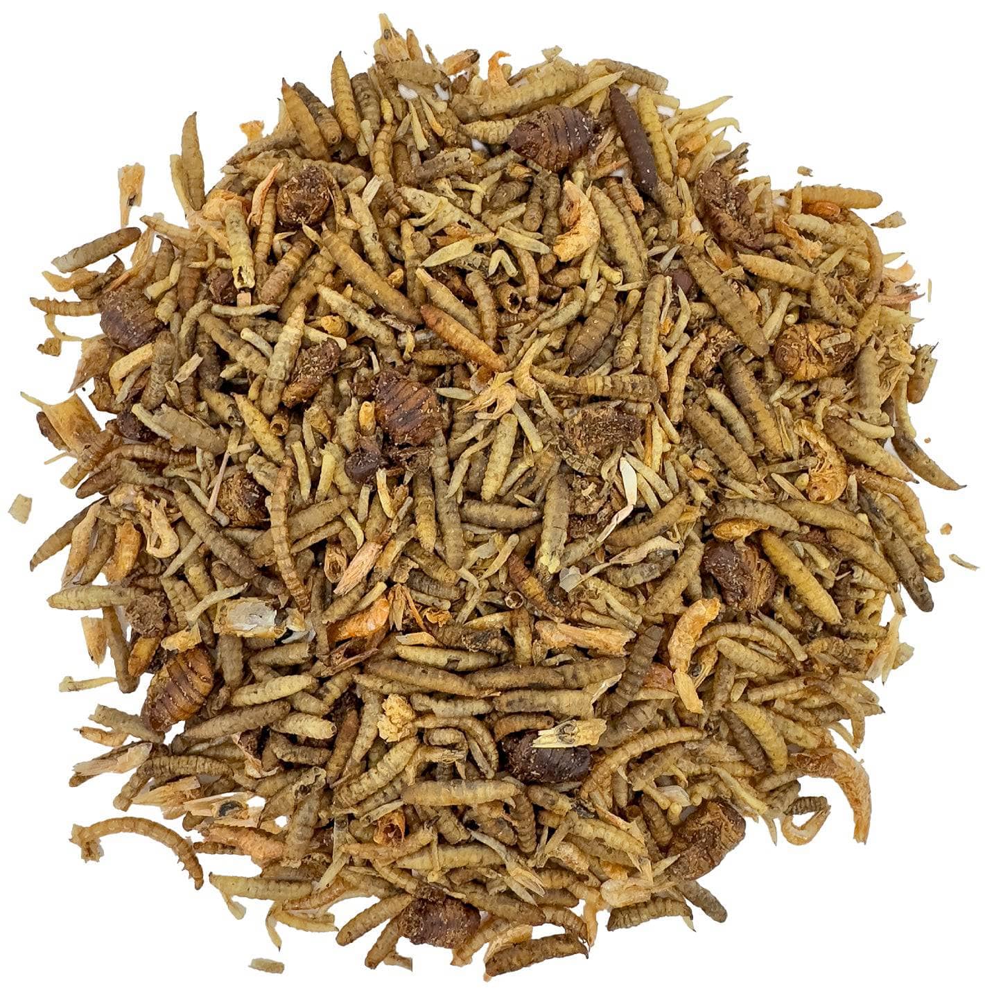 Dried Insect Color Dried Insect Mix 1kg | Nutritious Wild Garden Bird Feed – The Birdfood ...