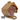 Natures Grub Bird Butter Feeder (Unfilled)