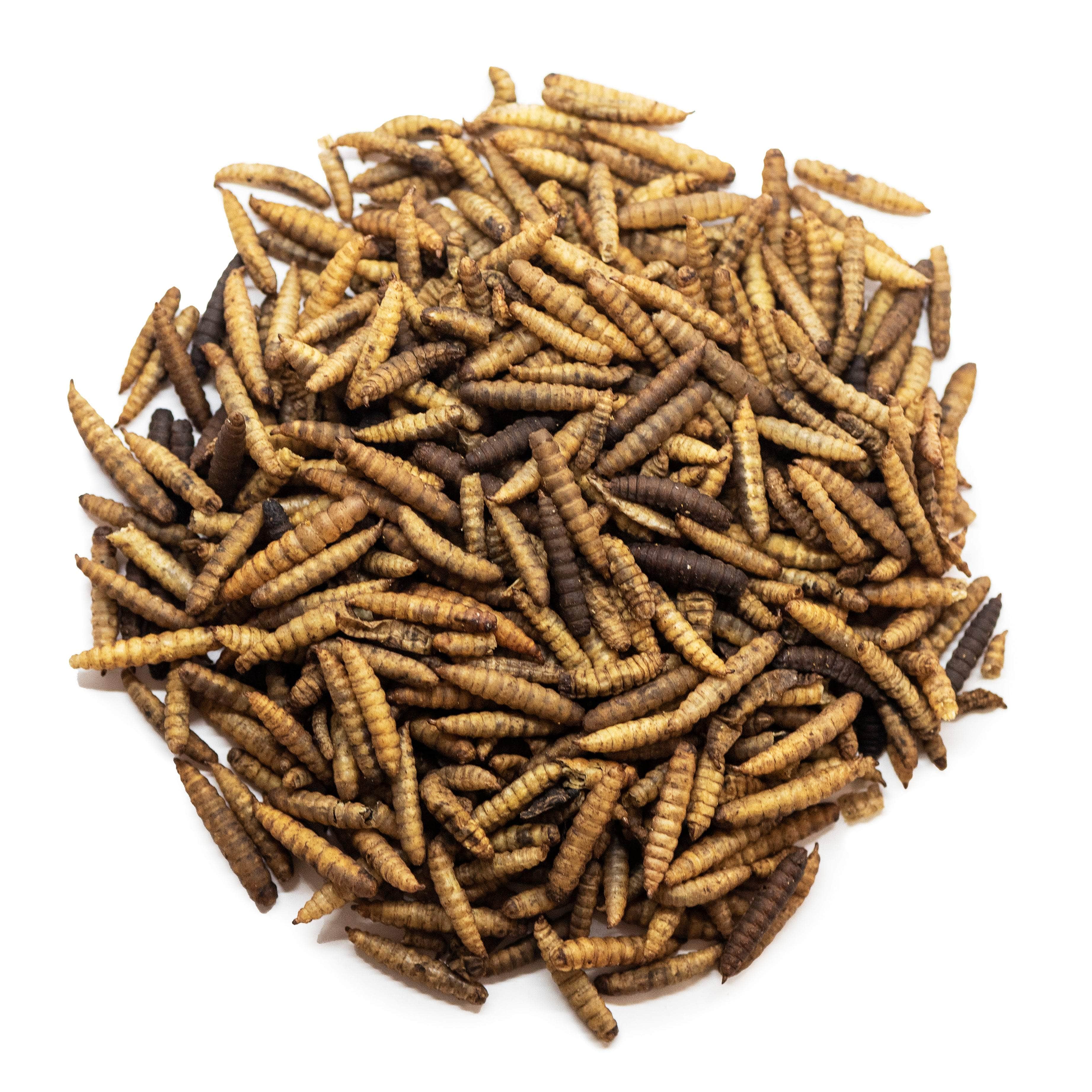 Natures Grub Love Wildlife Dried Calciworms 5ltr Bucket