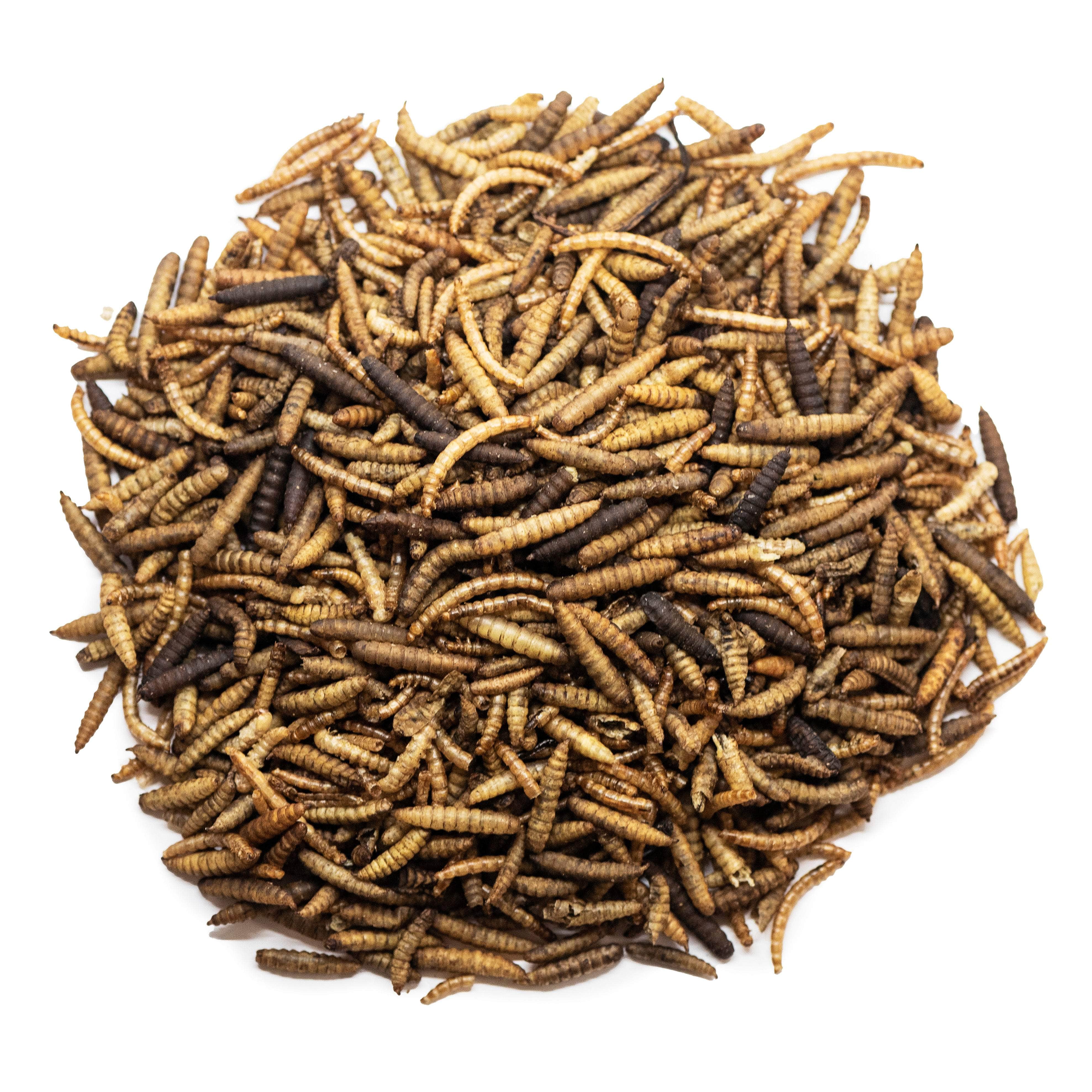 Natures Grub Love Wildlife Dried Worms 5ltr Bucket