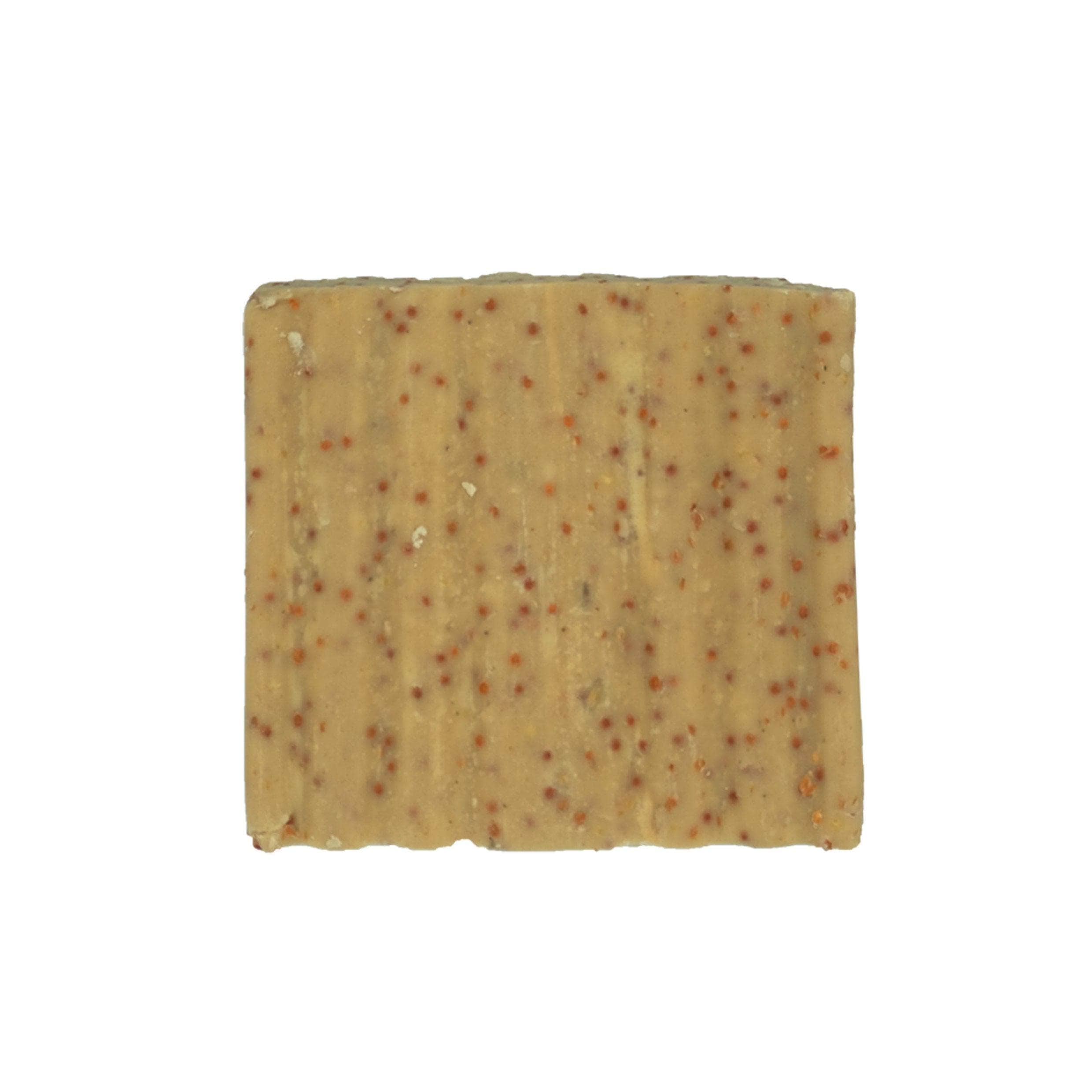 Suet To Go Suet Cakes 1pk - Insect
