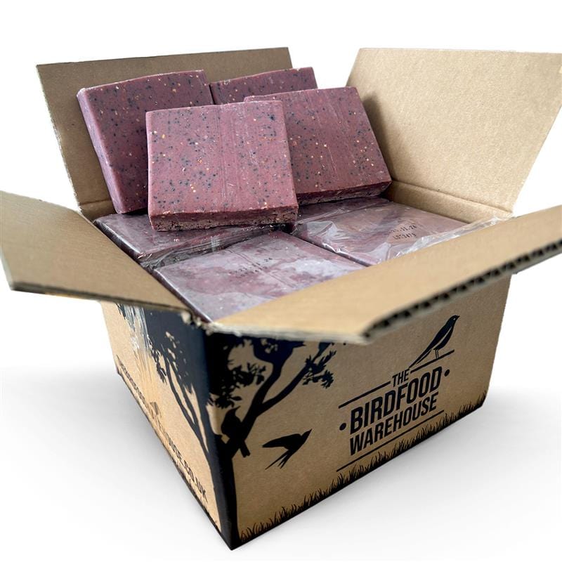 The Birdfood Warehouse Fruit & Berry Suet Blocks