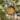 The Birdfood Warehouse Love Wildlife Bird Butter Filled Feeder (Mealworm & Insect)