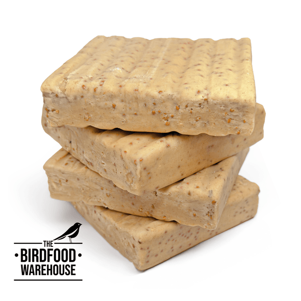 Suet Blocks | Suet Bird Food | Wild Bird Suet Bulk UK – The Birdfood ...