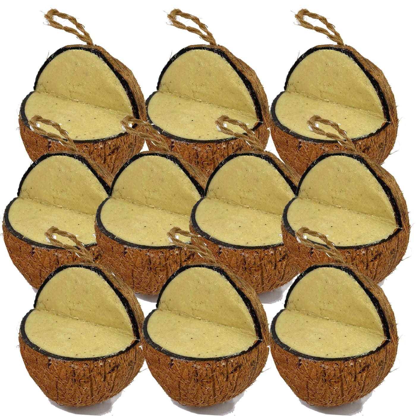 The Birdfood Warehouse Peanut Butter Coconut Feeder