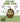 The Birdfood Warehouse Seed & Nut Coconut Feeders