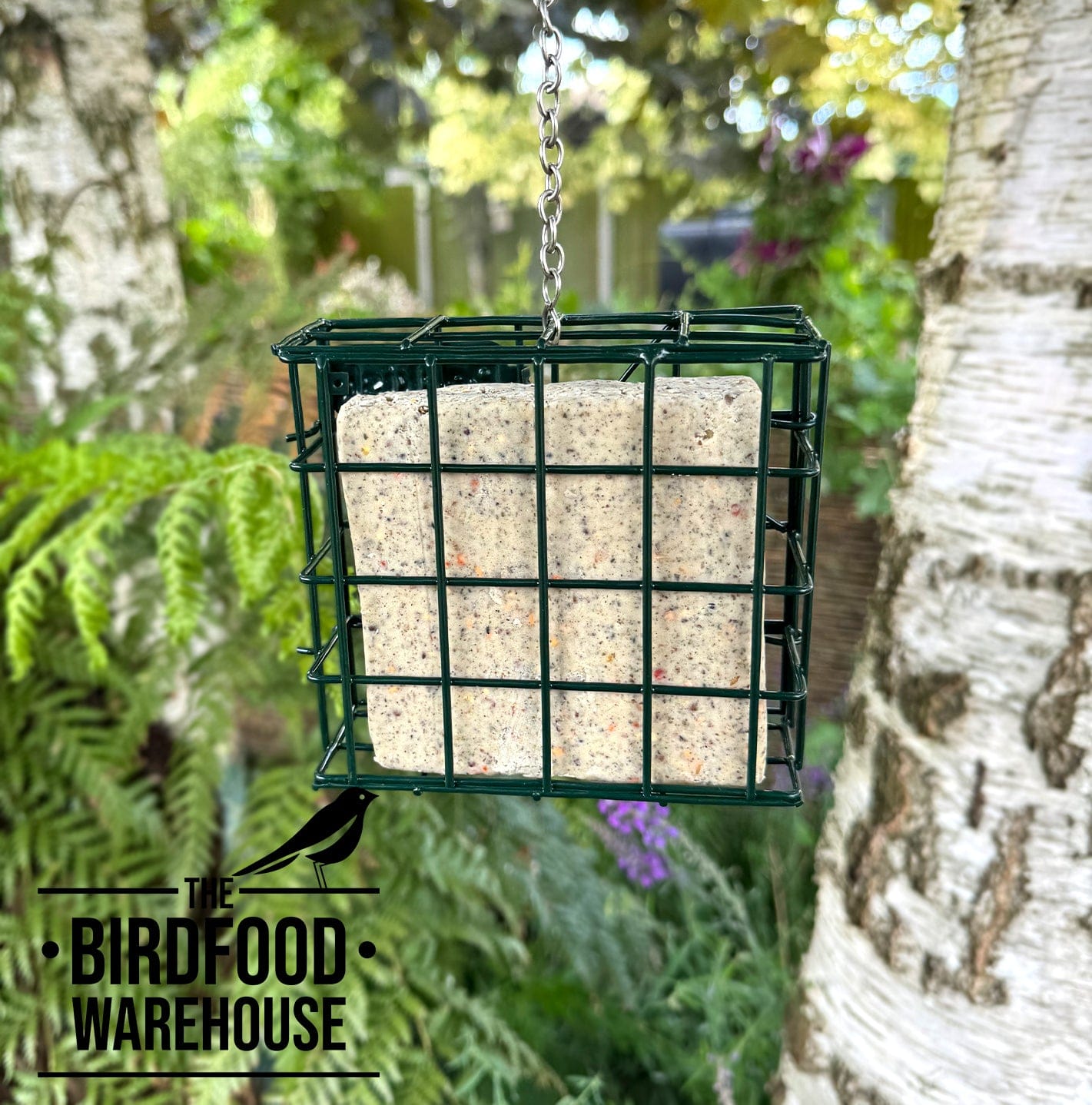 The Birdfood Warehouse Seed & Nut Suet Blocks